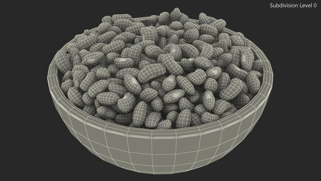 Black Turtle Beans on a Plate 3D model