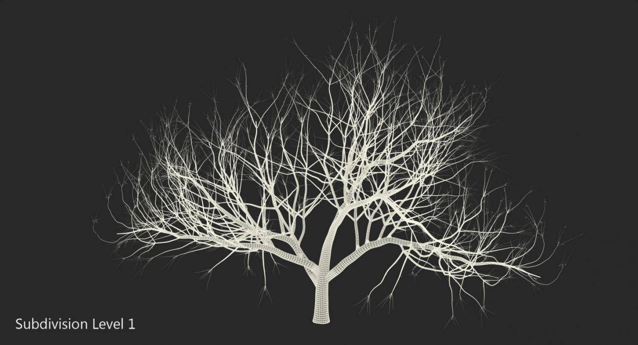 Small Winter Tree 3D