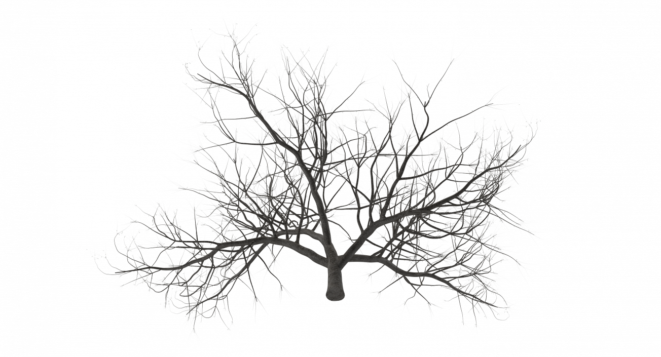 Small Winter Tree 3D