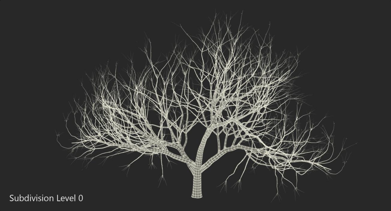 Small Winter Tree 3D