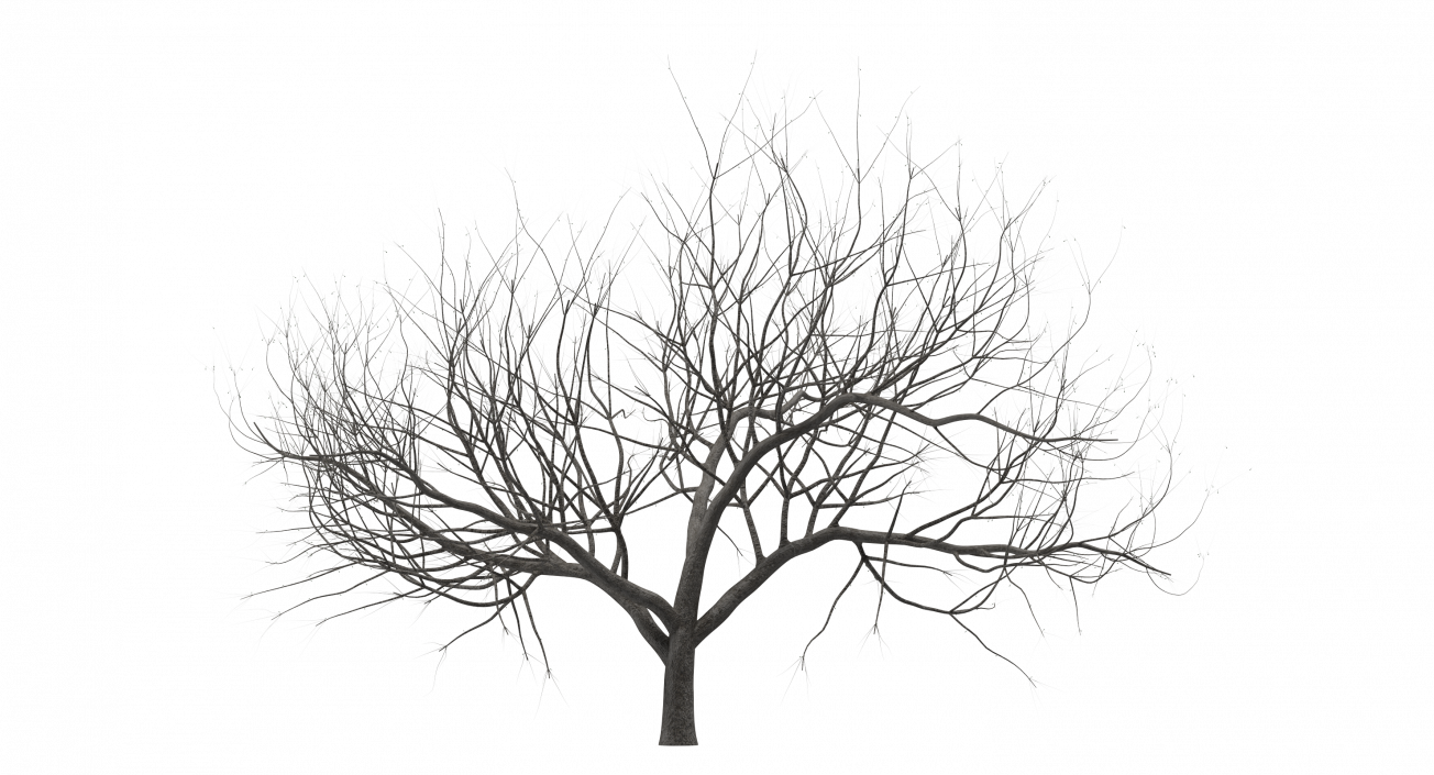 Small Winter Tree 3D