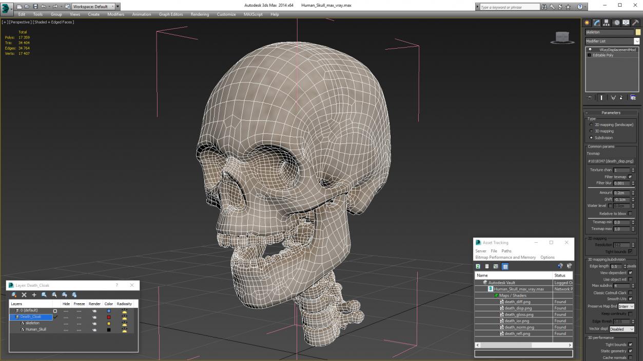 3D Human Skull