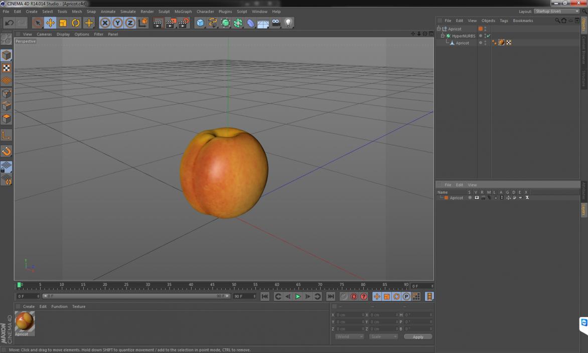 Apricot 3D model