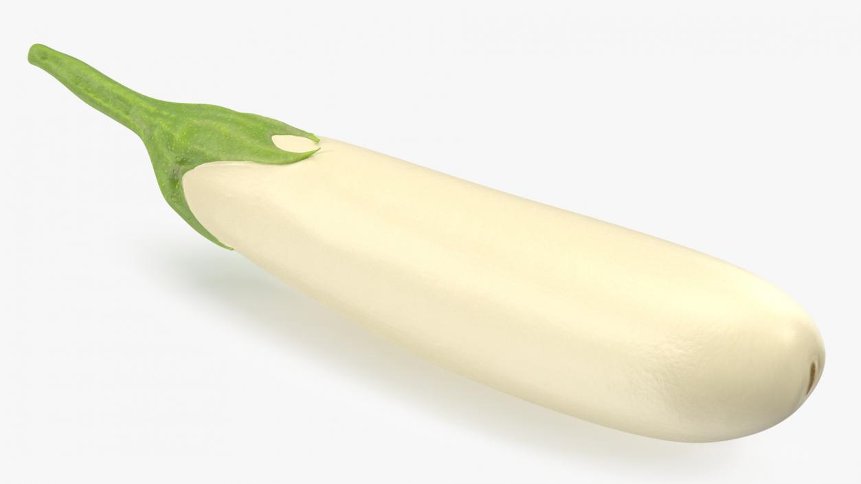 White Eggplant Aubergine 3D model