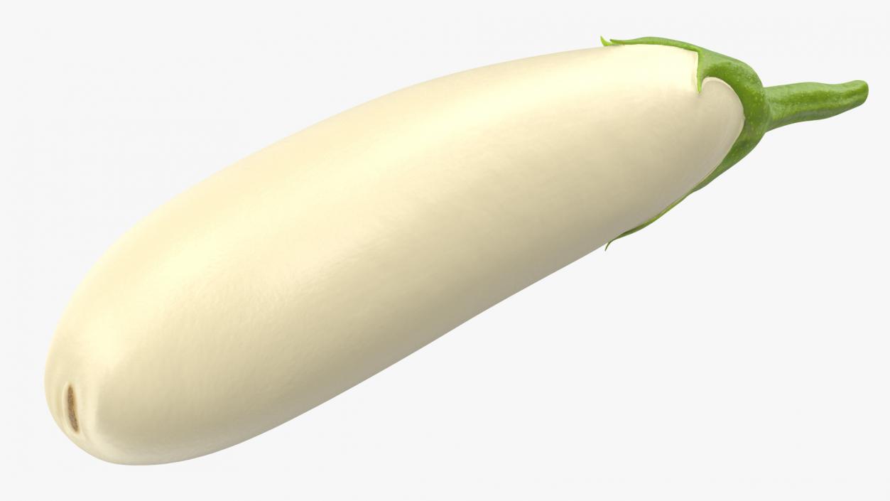 White Eggplant Aubergine 3D model