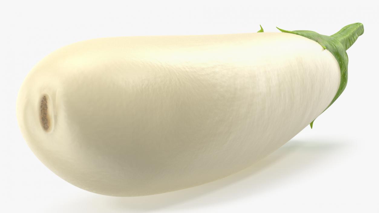 White Eggplant Aubergine 3D model