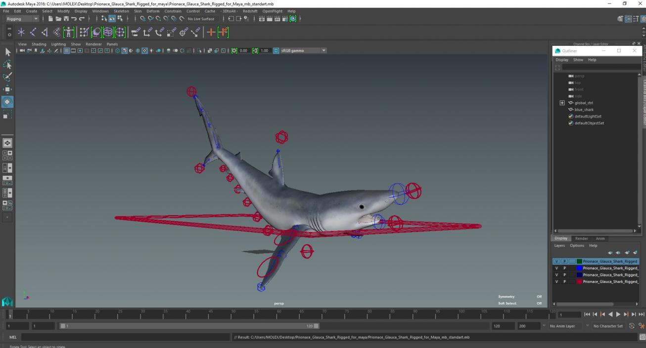 Prionace Glauca Shark Rigged for Maya 3D