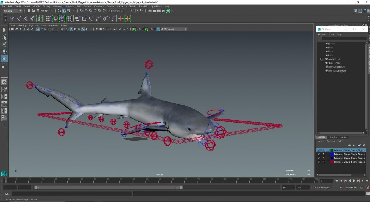 Prionace Glauca Shark Rigged for Maya 3D