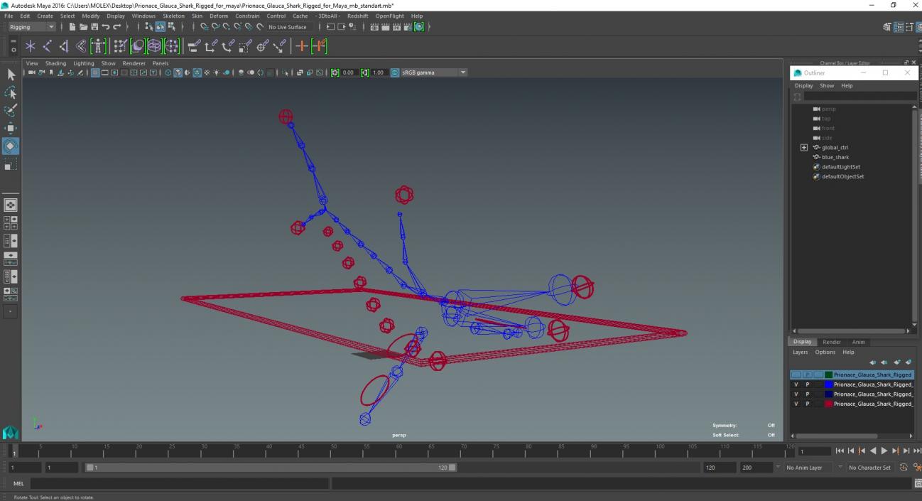 Prionace Glauca Shark Rigged for Maya 3D