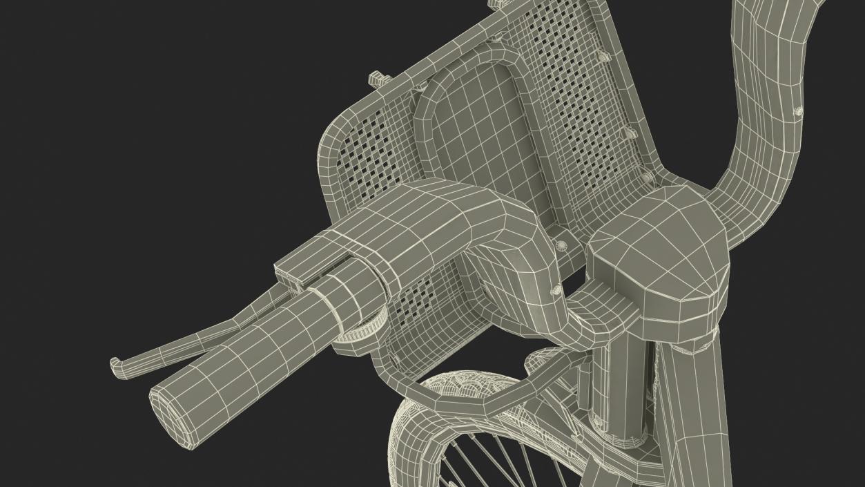 3D City Bike Share Program Bicycle