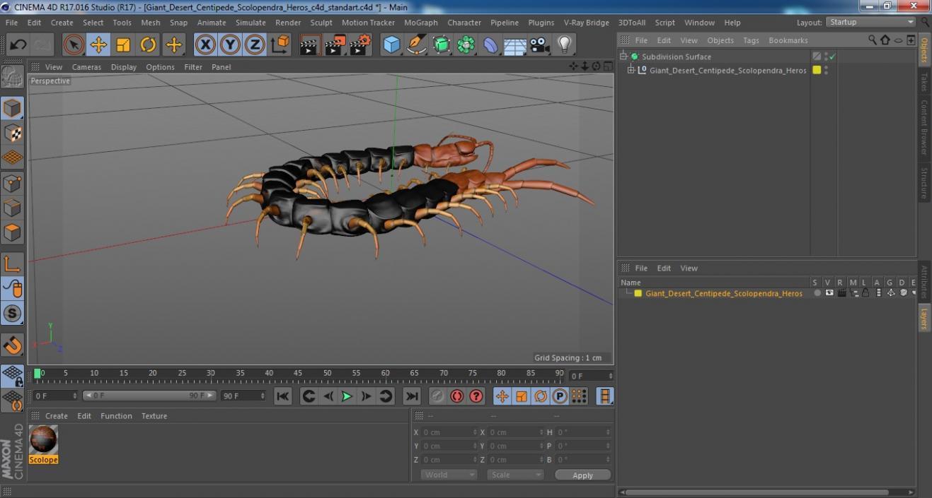 3D model Giant Desert Centipede Scolopendra Heros