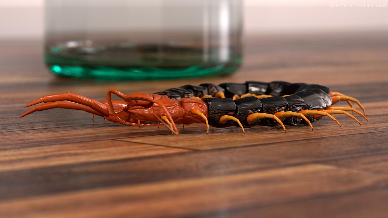 3D model Giant Desert Centipede Scolopendra Heros