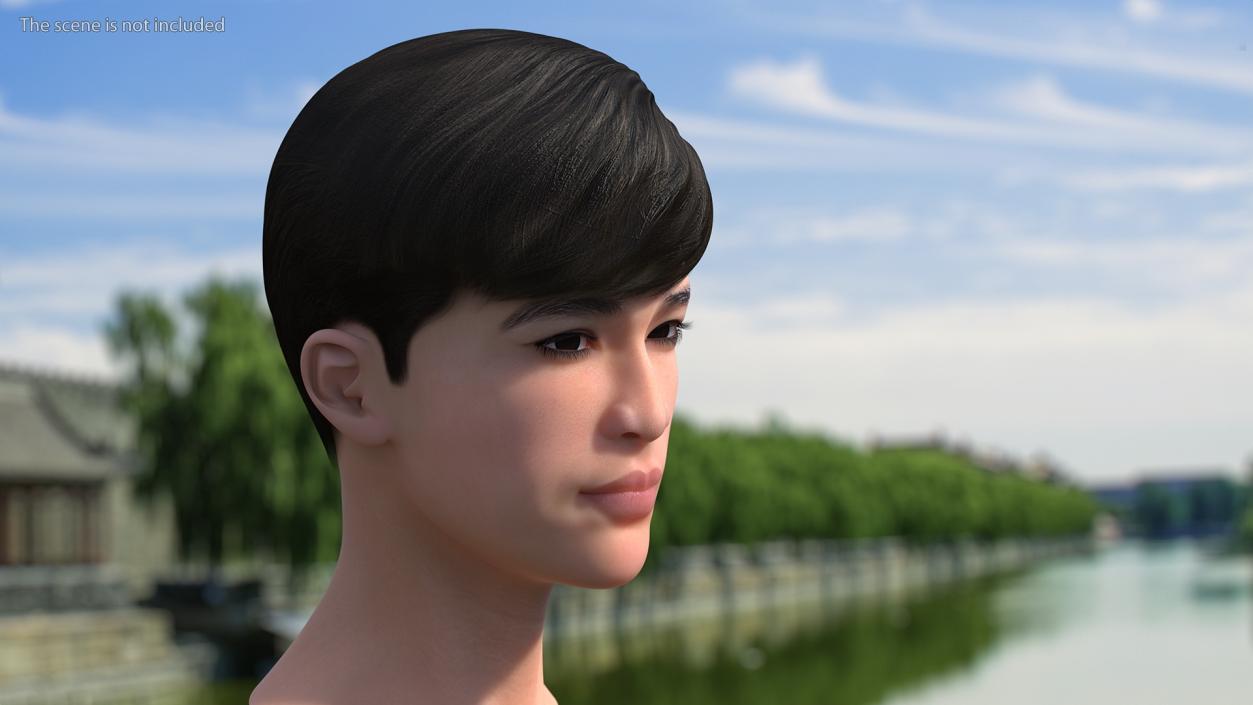 3D Asian Man Heads Collection 4 model