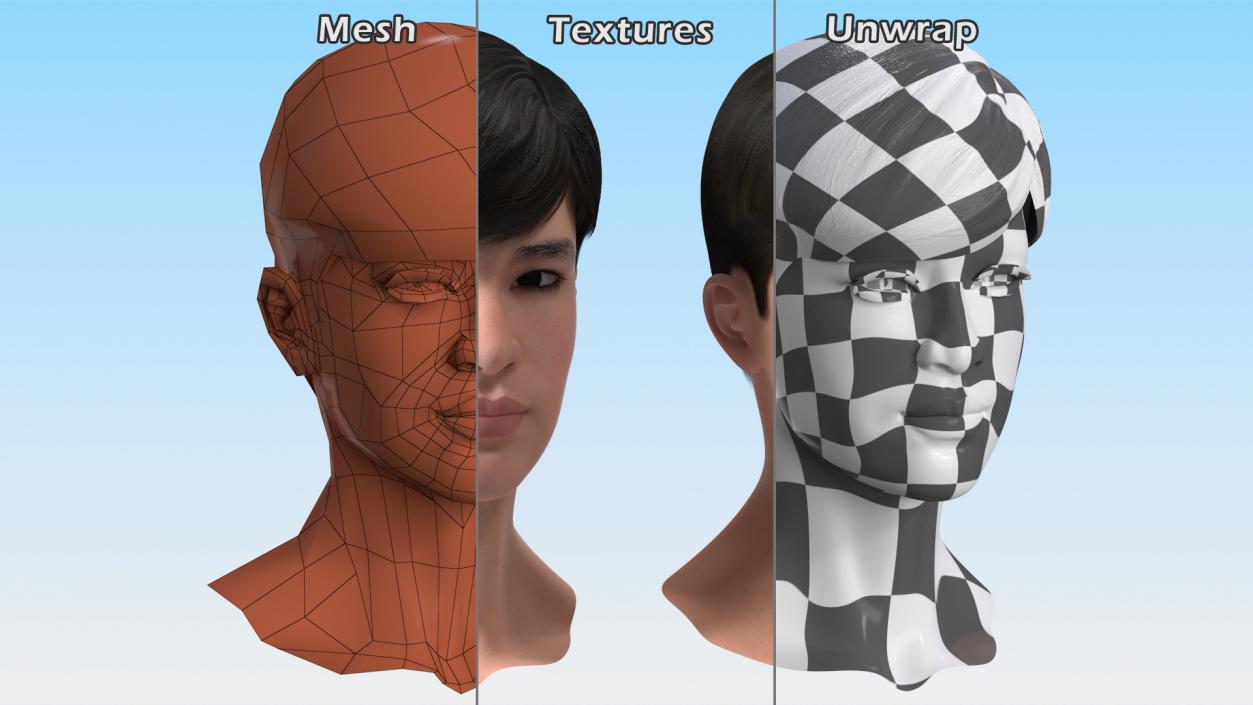 3D Asian Man Heads Collection 4 model