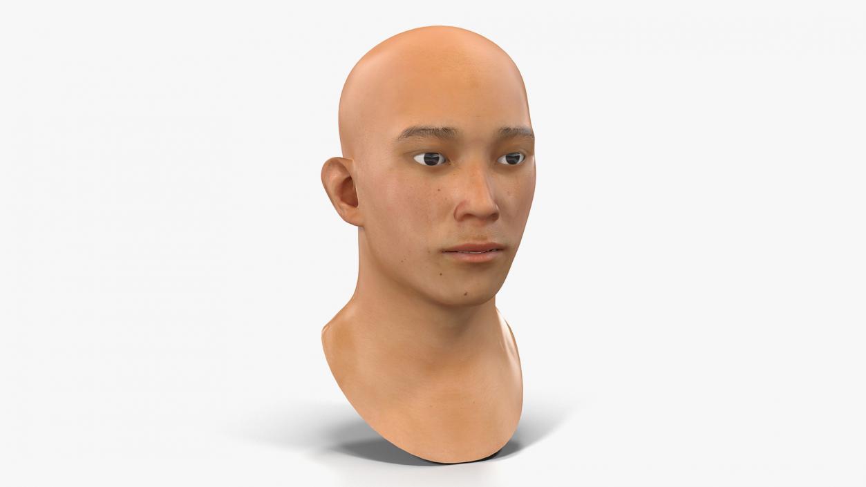 3D Asian Man Heads Collection 4 model