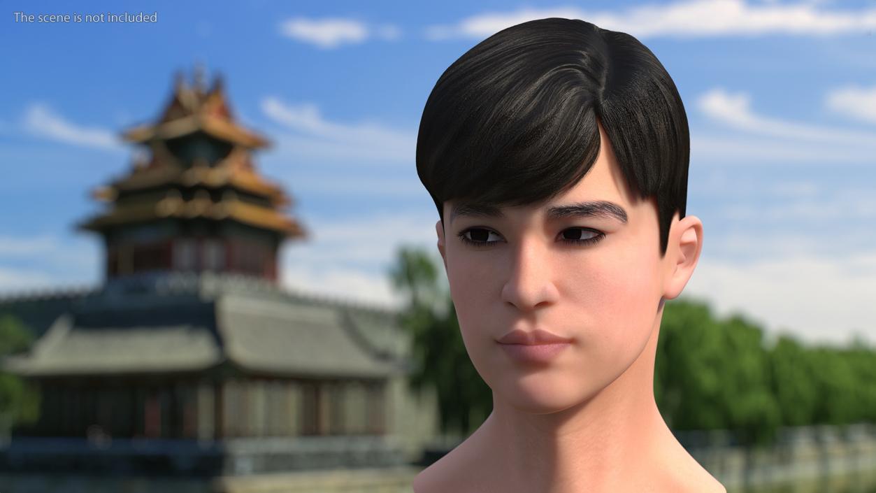 3D Asian Man Heads Collection 4 model