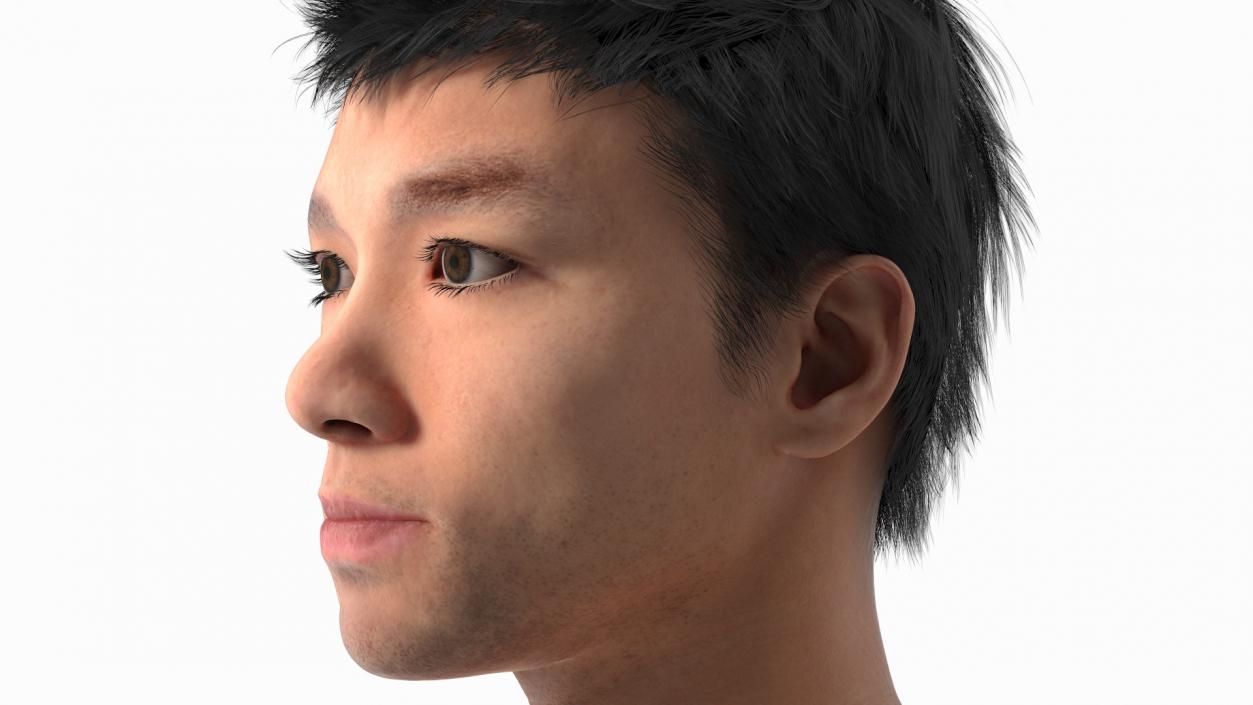 3D Asian Man Heads Collection 4 model