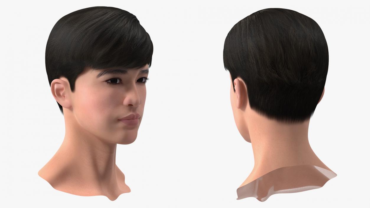 3D Asian Man Heads Collection 4 model