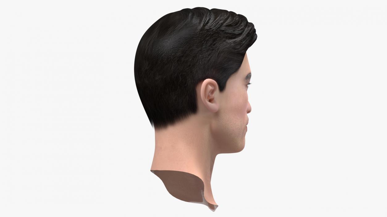 3D Asian Man Heads Collection 4 model