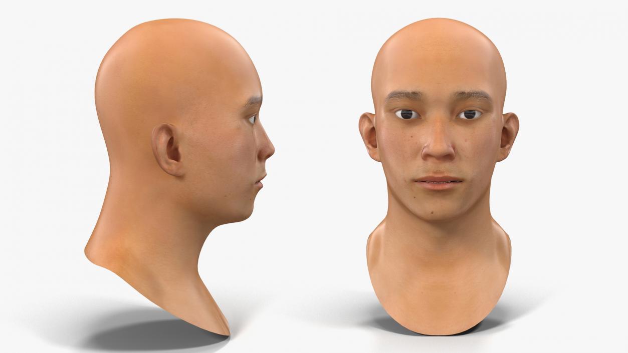 3D Asian Man Heads Collection 4 model