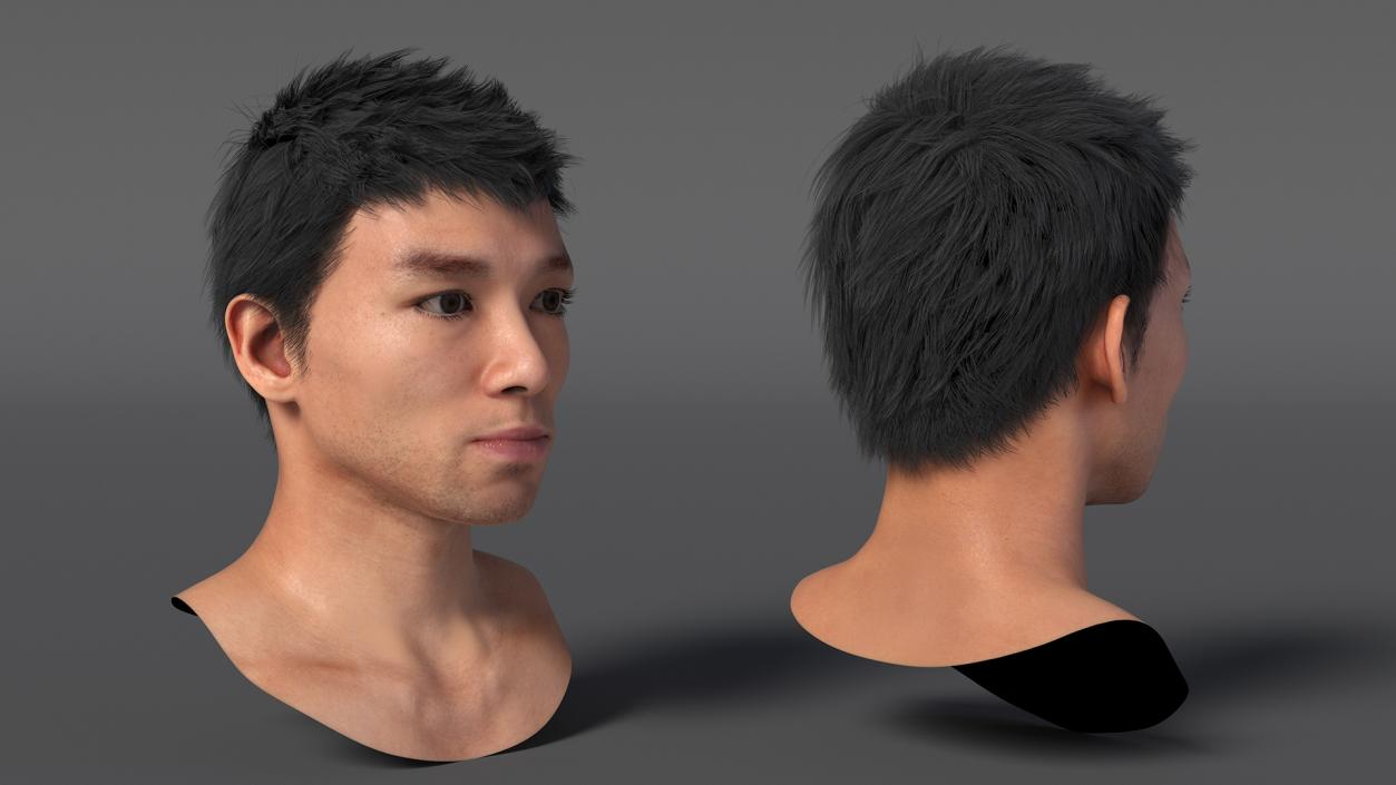 3D Asian Man Heads Collection 4 model