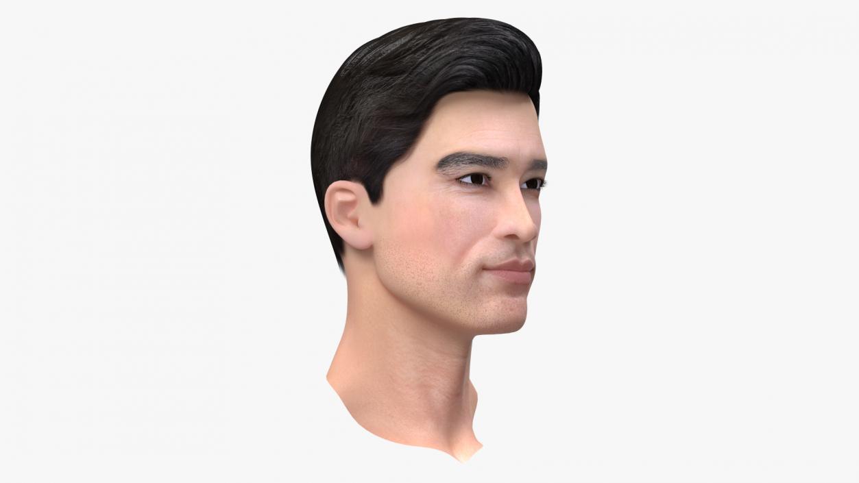 3D Asian Man Heads Collection 4 model