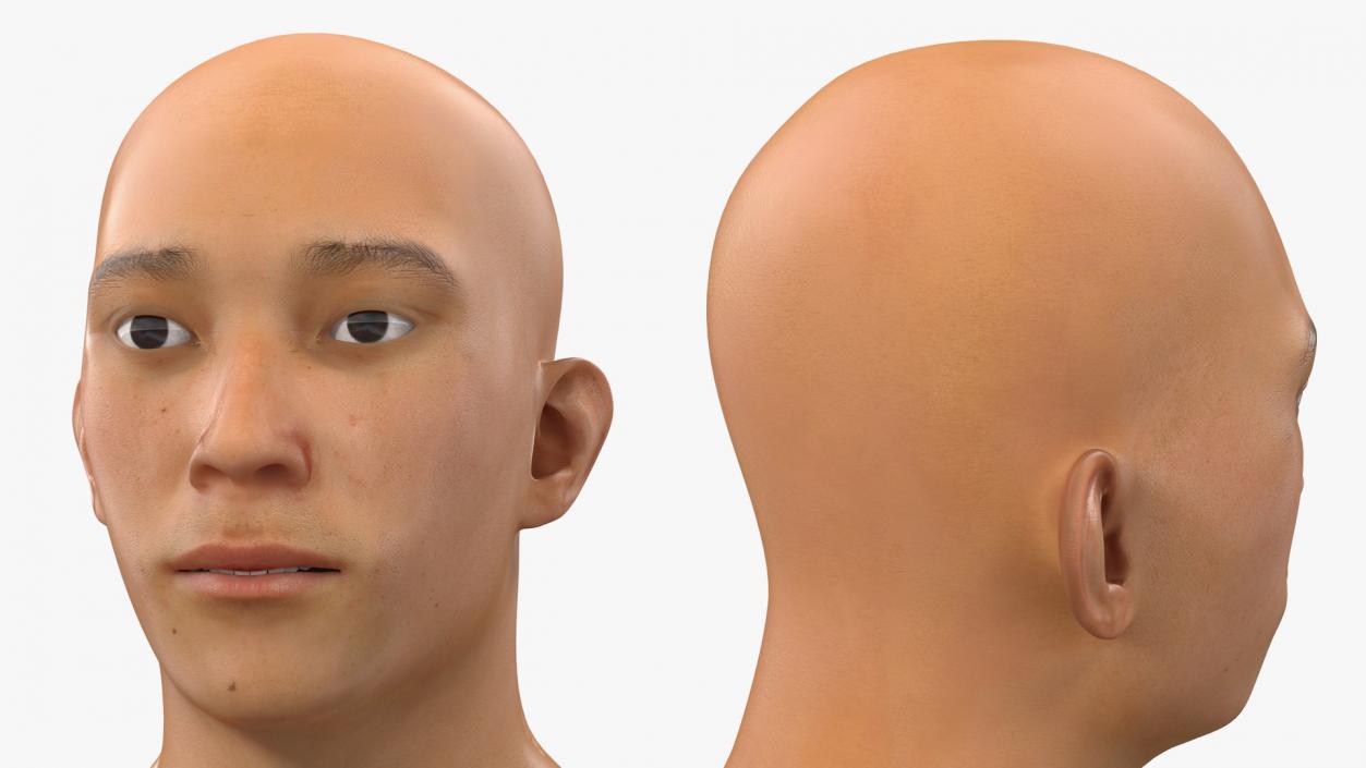 3D Asian Man Heads Collection 4 model