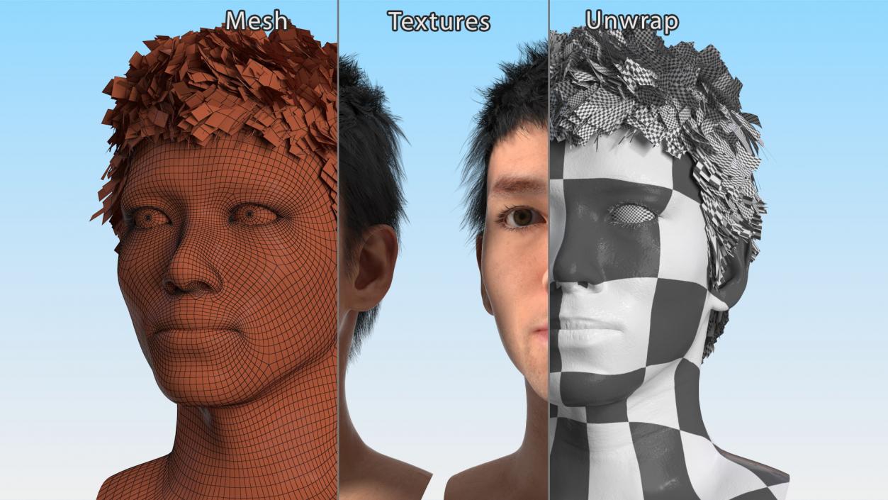 3D Asian Man Heads Collection 4 model