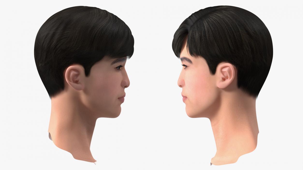 3D Asian Man Heads Collection 4 model