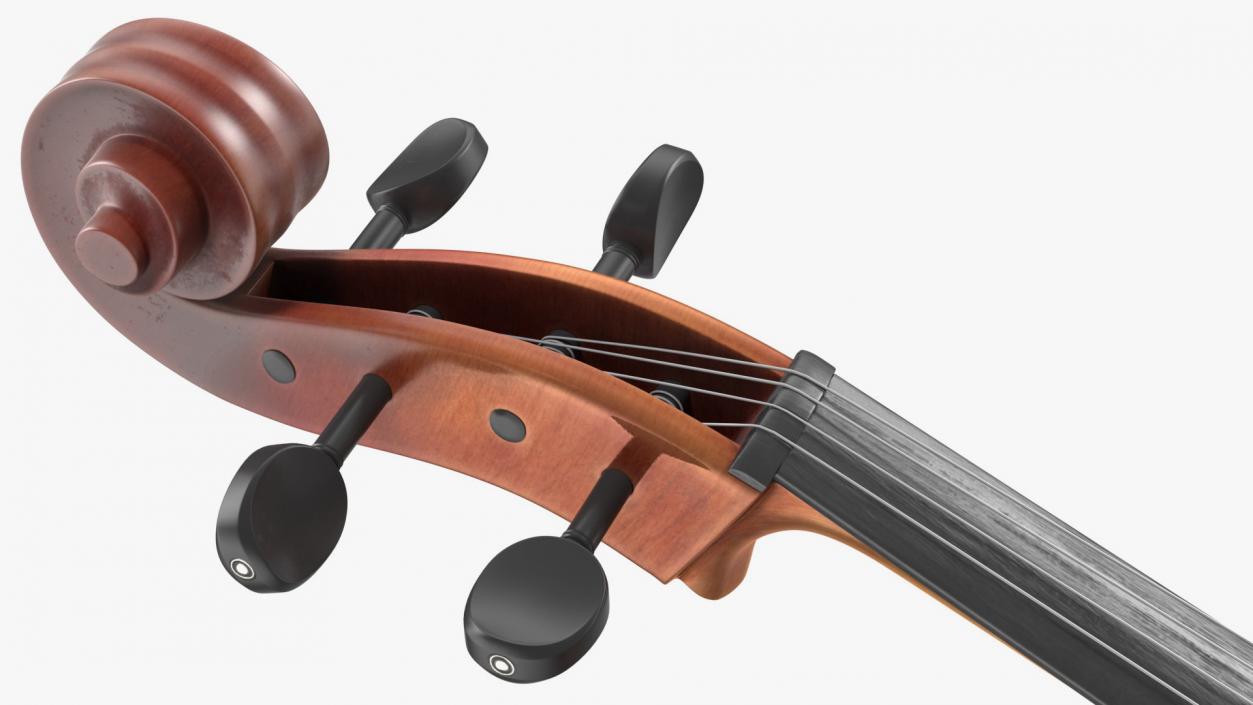 3D Stringed Instruments Collection 6 model