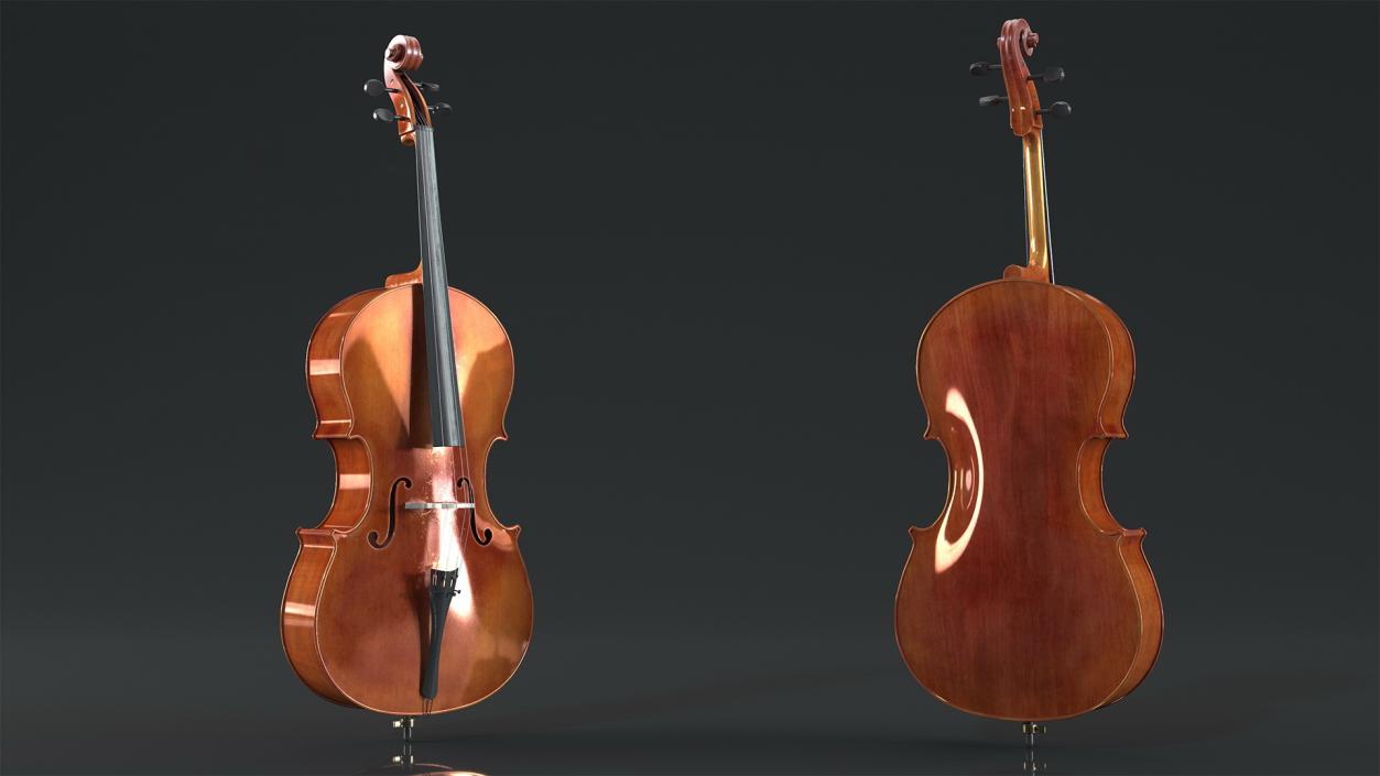 3D Stringed Instruments Collection 6 model