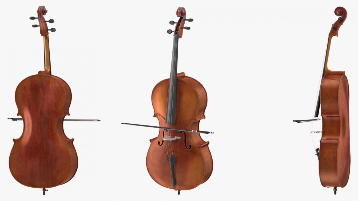 3D Stringed Instruments Collection 6 model