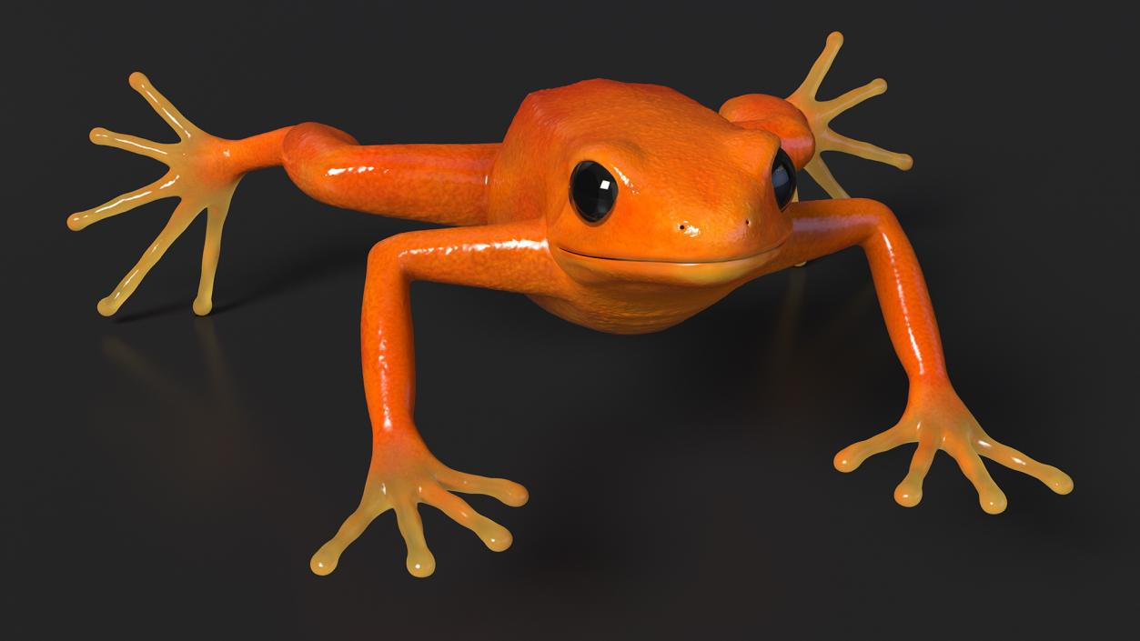 3D Realistic Golden Frog