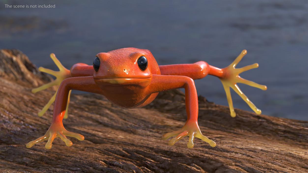 3D Realistic Golden Frog