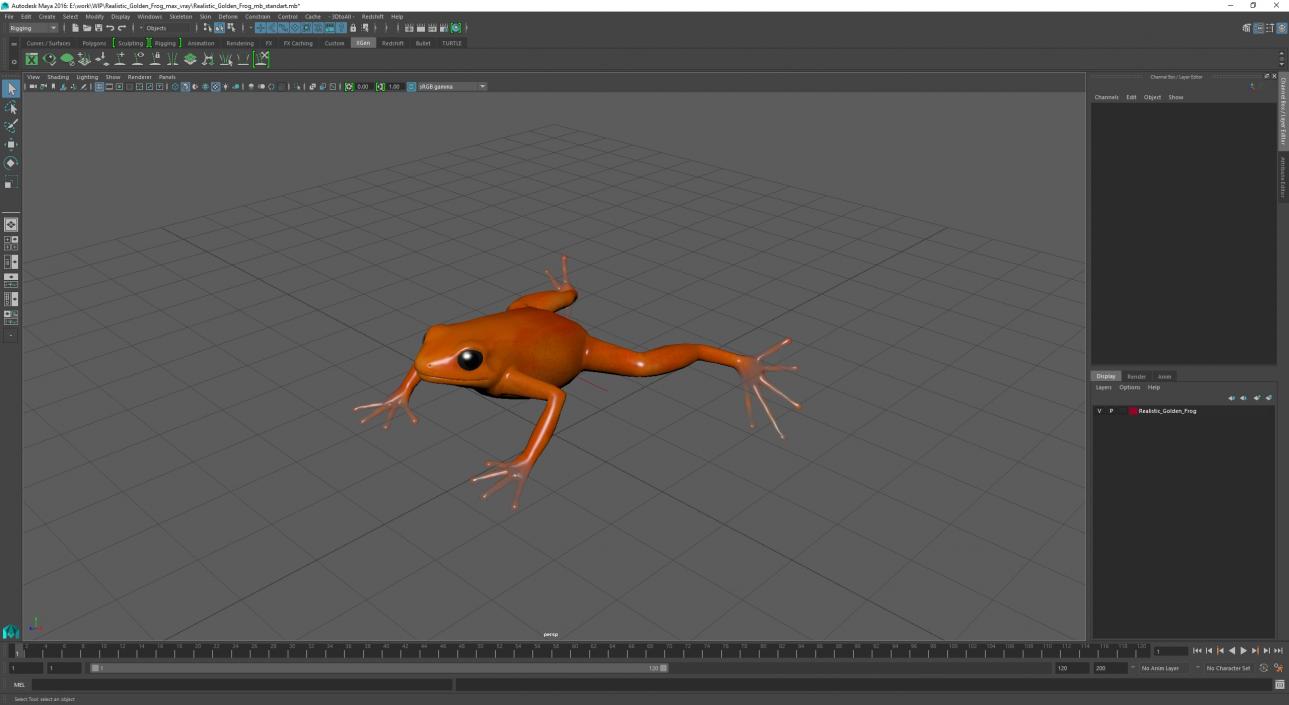 3D Realistic Golden Frog