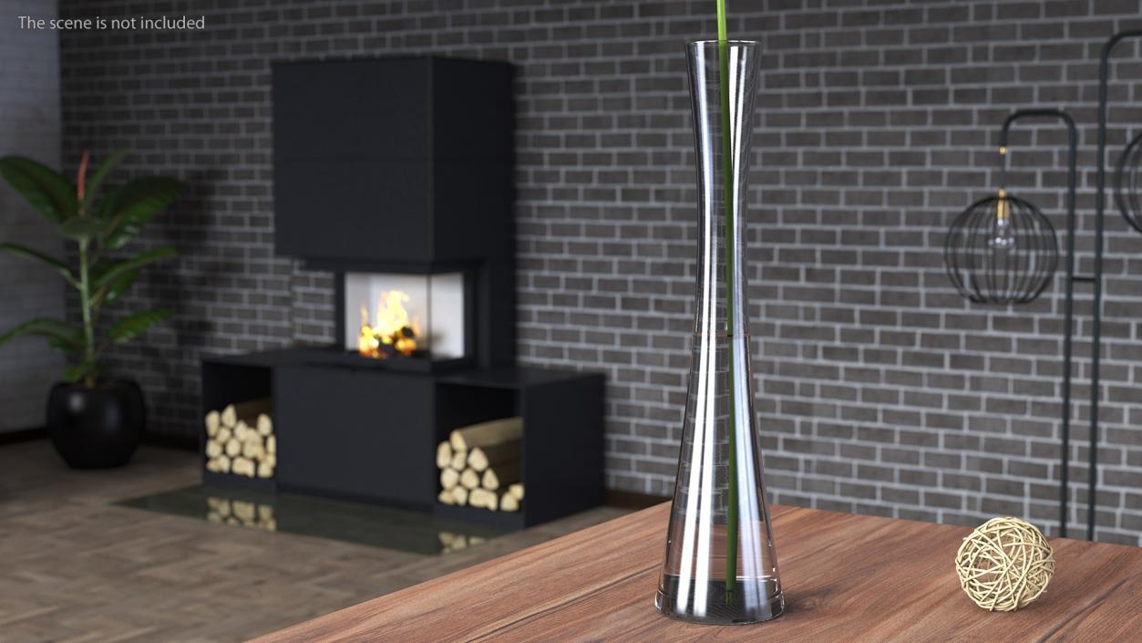 Typha Latifolia in Glass Vase 3D model