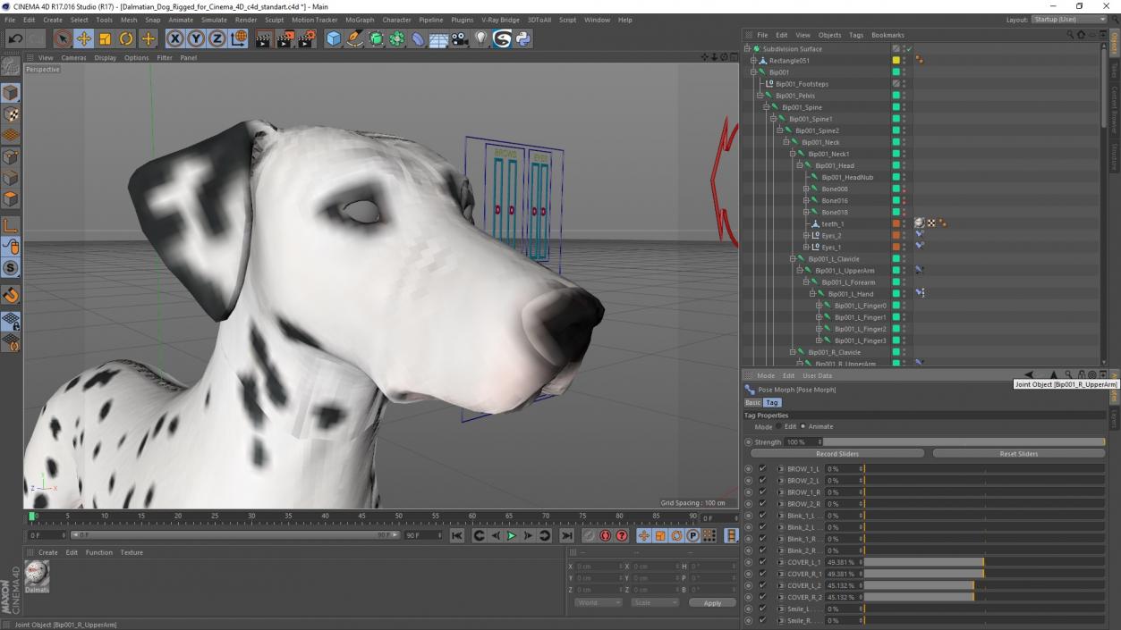 3D Dalmatian Dog Rigged for Cinema 4D 2