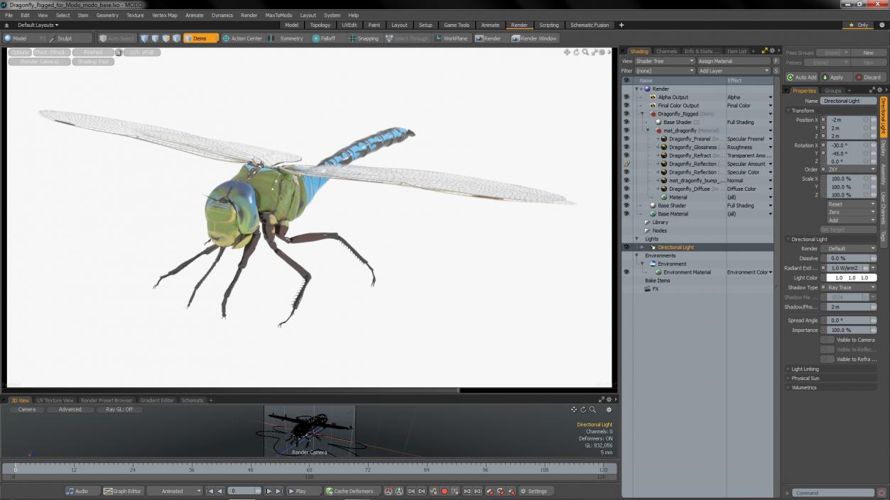 3D model Dragonfly Rigged for Modo