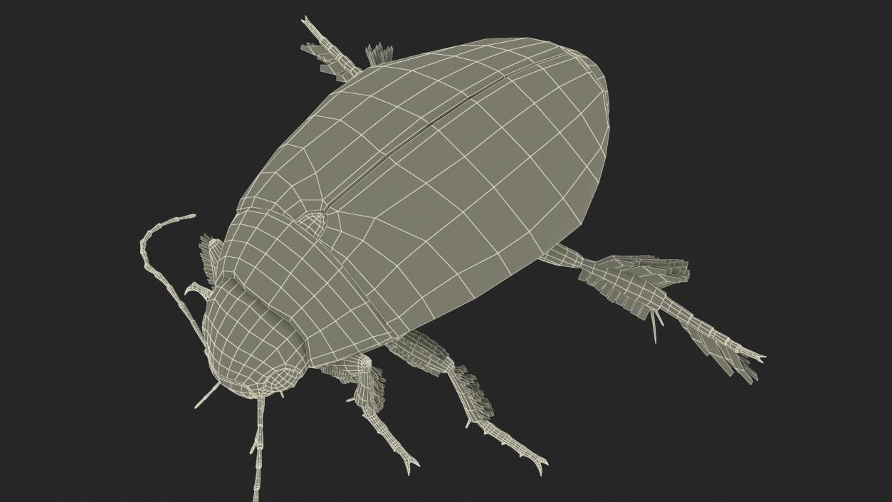 Aquatic Beetle Beige Floating 3D model