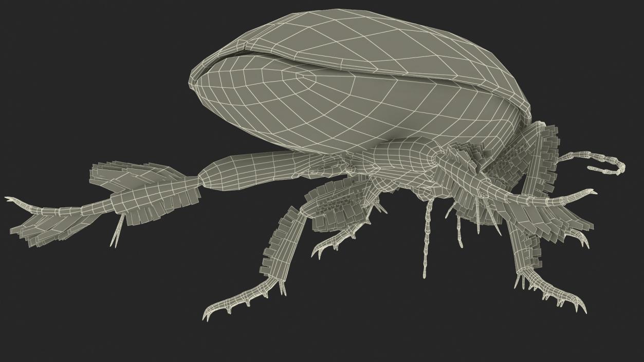 Aquatic Beetle Beige Floating 3D model