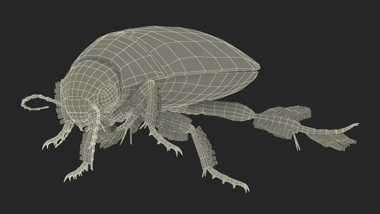 Aquatic Beetle Beige Floating 3D model