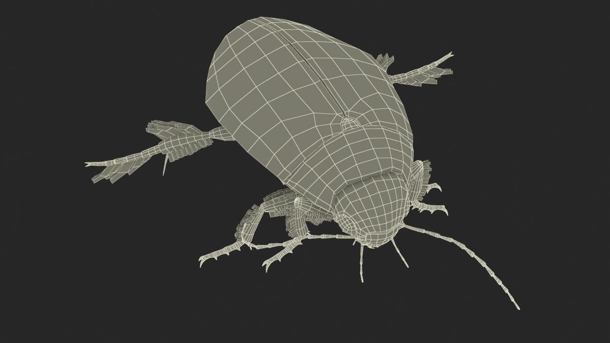 Aquatic Beetle Beige Floating 3D model