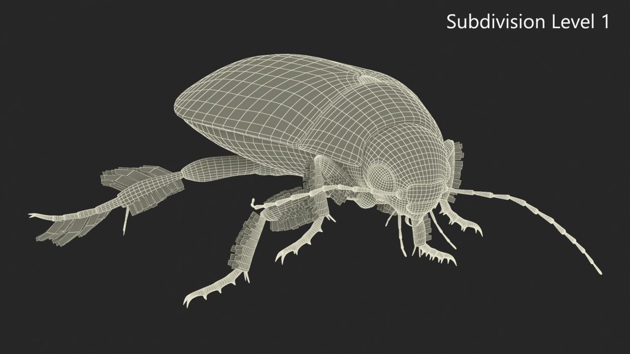 Aquatic Beetle Beige Floating 3D model