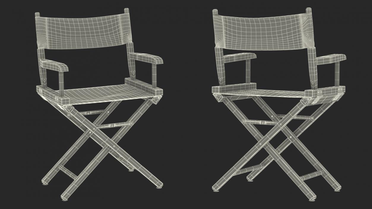 Film Director Chair 3D model