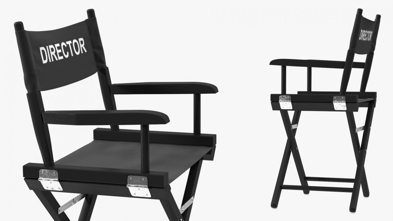 Film Director Chair 3D model