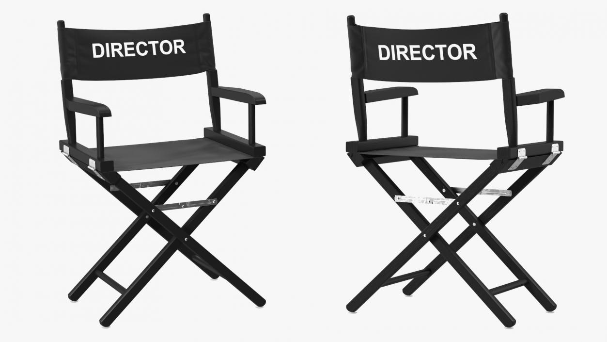 Film Director Chair 3D model