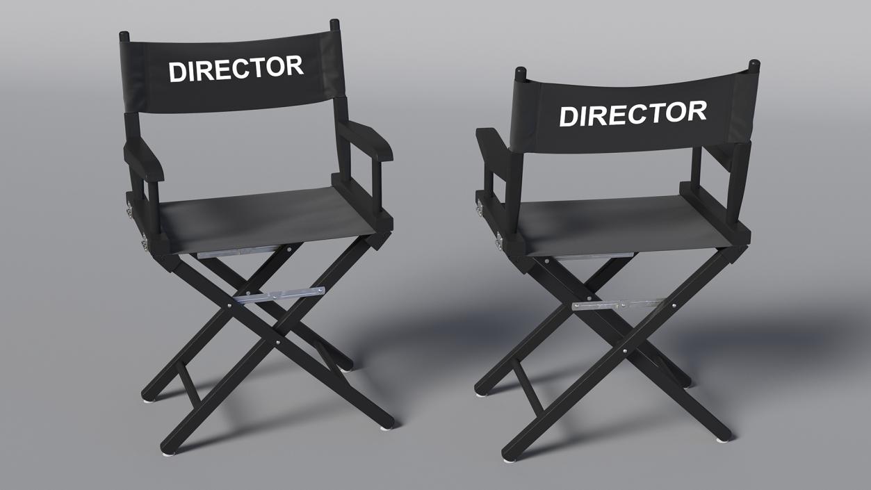 Film Director Chair 3D model