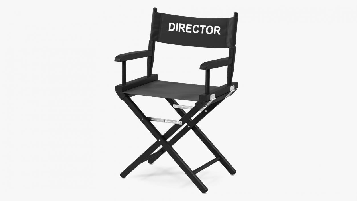 Film Director Chair 3D model