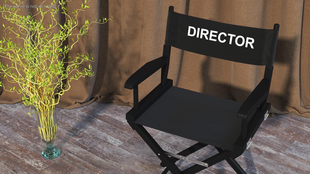 Film Director Chair 3D model