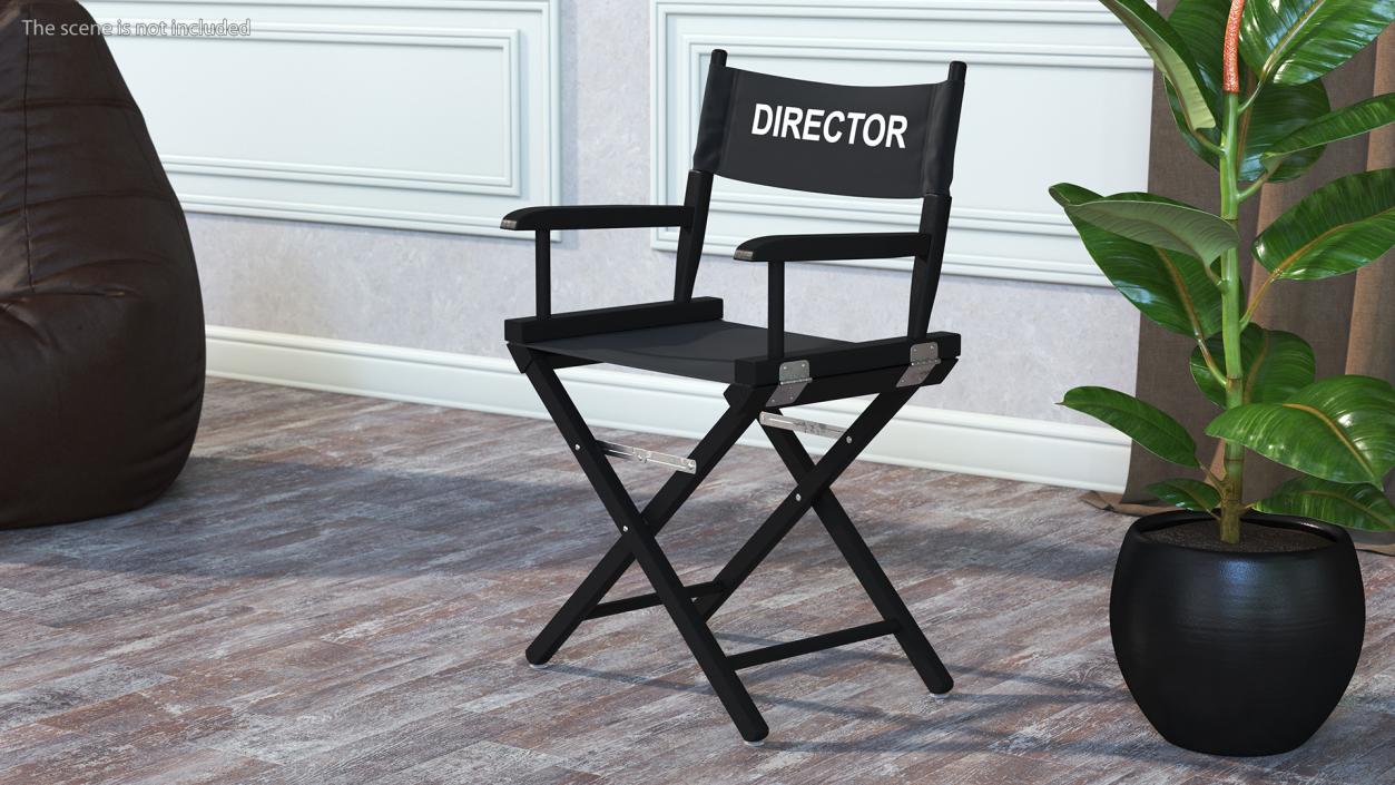 Film Director Chair 3D model